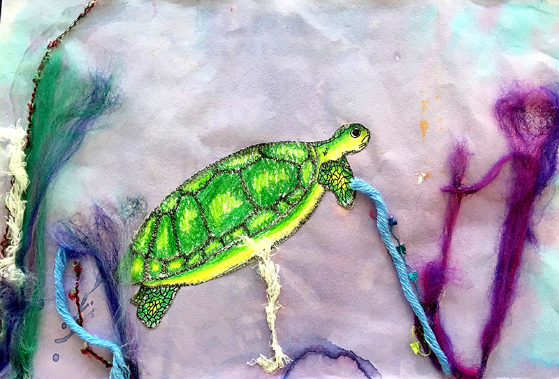 Green Sea Turtle